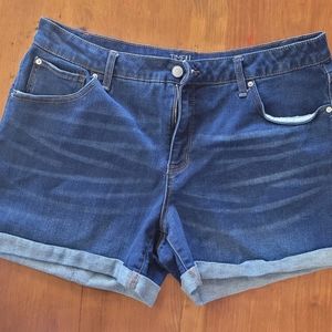 Time and Tru shorts size 16